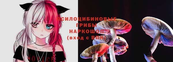 мяу мяу мука Аркадак