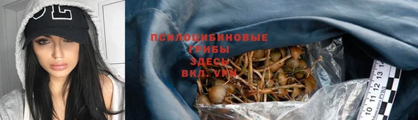 мяу мяу мука Аркадак